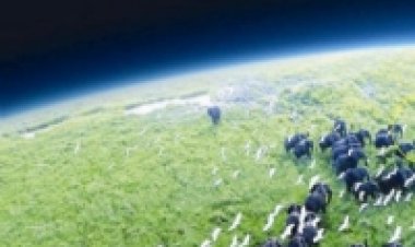 עולם מופלא כתובית | Planet Earth Subtitle