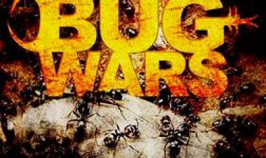 מלחמות החרקים המפלצתיים עונה 1 כתובית | Monster Bug Wars! Season 1 Subtitle