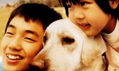 הלב שלה נשטף במים ואז שקל כתובית | Her Heart Is Washed in Water and Then Weighed Subtitle