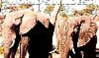 אפריקה הפראית כתובית | Wildest Africa Subtitle