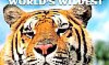 אסיה הפראית כתובית | Wildest Asia Subtitle