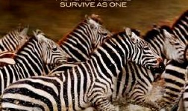 הנדידה הגדולה כתובית | Great Migrations Subtitle