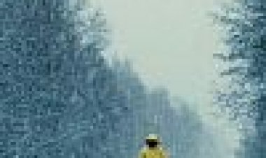 9 המוזות / כתובית | The Nine Muses Subtitle