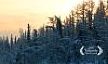 אנשים מאושרים: שנה בטייגה כתובית | Happy People: A Year In The Taiga Subtitle