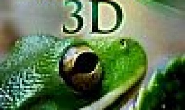 מיקרופלאנט 3D כתובית | MicroPlanet 3D Subtitle