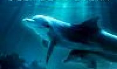 דולפינים באוקיינוס הכחול העמוק כתובית | Dolphins In The Deep Blue Ocean Subtitle