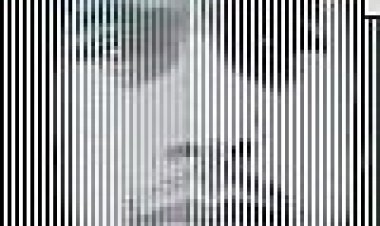 מי דיאני קריסטל? כתובית | Who Is Dayani Cristal? Subtitle