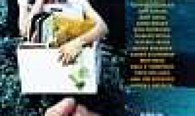 מפוטרת כתובית | Fired! Subtitle