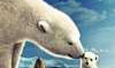 אגדת הקוטב הצפוני כתובית | Arctic Tale Subtitle