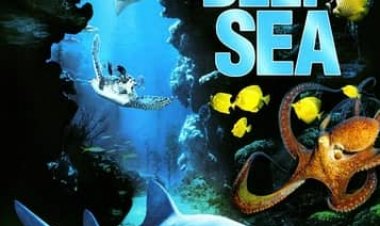 ים עמוק כתובית | Deep Sea Subtitle