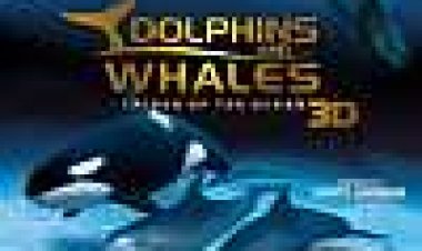 דולפינים וליוותנים בתלת-מימד: שבטי האוקיינוס כתובית | Dolphins And Whales 3D: Tribes Of The Ocean Subtitle