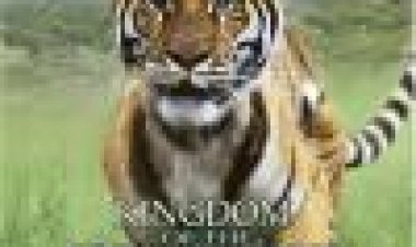 הודו - ממלכת הטיגריס כתובית | India: Kingdom Of The Tiger Subtitle