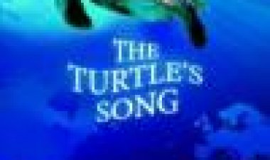 צב: המסע המופלא כתובית | Turtle: The Incredible Journey Subtitle