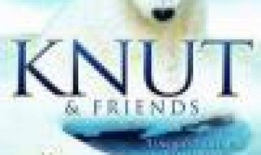 קנוט וחברים כתובית | Knut And Friends Subtitle