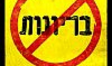 בריונות כתובית | The Bully Project Subtitle