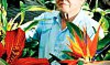 ממלכת הצמחים כתובית | Kingdom Of Plants 3D Subtitle