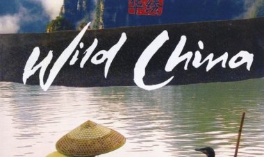 סין הפראית כתובית | Wild China Subtitle