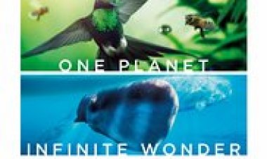 יום מדהים בכדור הארץ כתובית | Earth: One Amazing Day Subtitle