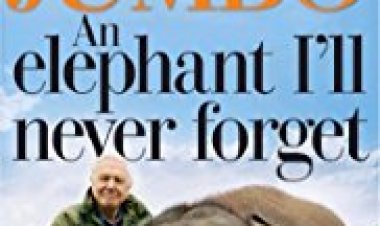 אטנבורו והפיל הענק כתובית | Attenborough and the Giant Elephant Subtitle
