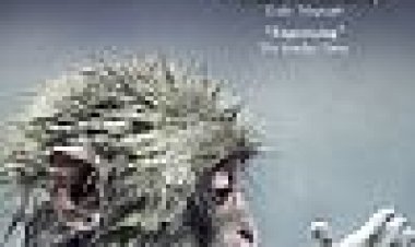 עליית בעלי החיים: ניצחון החולייתנים כתובית | Rise Of Animals: Triumph Of The Vertebrates Subtitle