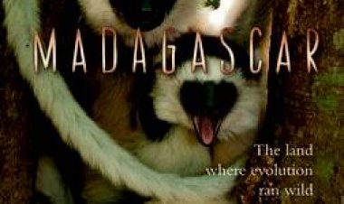 מדגסקר כתובית | Madagascar Subtitle