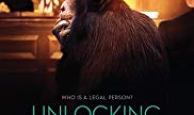 נעילת הכלוב כתובית | Unlocking the Cage Subtitle