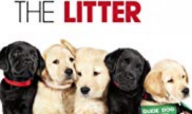 הגורים הטובים ביותר כתובית | Pick of the Litter Subtitle