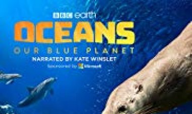 האוקיינוסים: הכוכב הכחול שלנו כתובית | Oceans: Our Blue Planet Subtitle