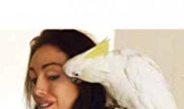 היידי פליס: הגברת של קריסטל כתובית | Heidi Fleiss: The Would-Be Madam of Crystal Subtitle