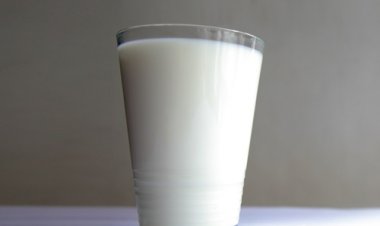 Milk? כתובית | Milk? Subtitle