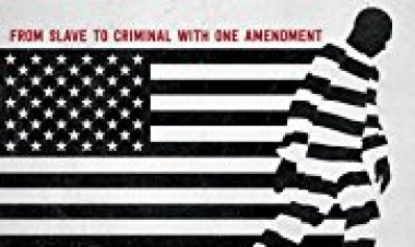 התיקון ה-13 כתובית | 13th Subtitle