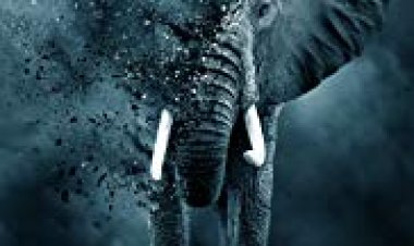 משחק השנהב כתובית | The Ivory Game Subtitle