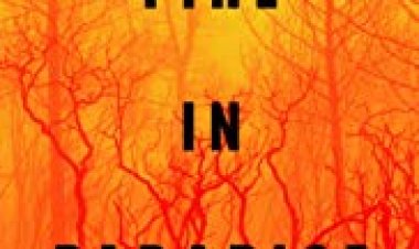 פרדייז בלהבות כתובית | Fire in Paradise Subtitle