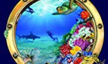 פלאי הים כתובית | Wonders of the Sea Subtitle