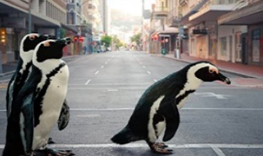 השנה שבה כדור הארץ השתנה כתובית | The Year Earth Changed Subtitle