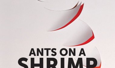 נמלים על שרימפס כתובית | Ants on a Shrimp Subtitle