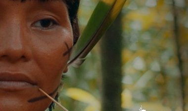 היער האחרון כתובית | The Last Forest Subtitle