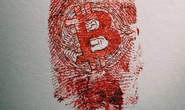 לא להאמין לאף אחד: החיפוש אחר מלך הקריפטו כתובית | Trust No One: The Hunt for the Crypto King Subtitle