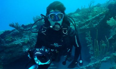 לחשוף את משולש ברמודה כתובית | Drain the Bermuda Triangle Subtitle