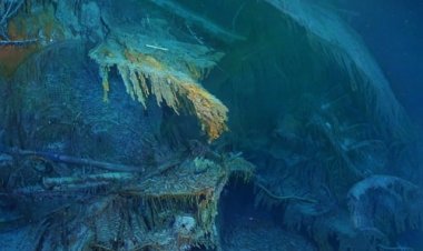 לחשוף את הטיטניק כתובית | Drain the Titanic Subtitle