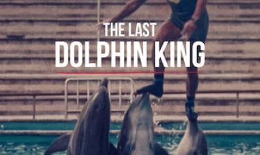נפילתו של מלך הדולפינים כתובית | The Last Dolphin King Subtitle