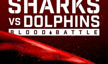כרישים נגד דולפינים, קרב עקוב מדם כתובית | Sharks vs. Dolphins: Blood Battle Subtitle