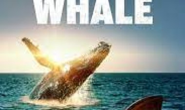 כריש נגד לוויתן כתובית | Shark vs. Whale Subtitle