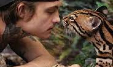 חתול בר כתובית | Wildcat Subtitle