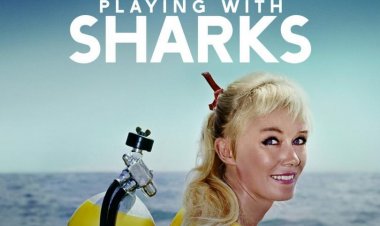 לשחק עם כרישים כתובית | Playing with Sharks: The Valerie Taylor Story Subtitle
