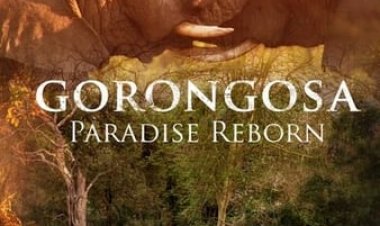 גורונגוסה: גן עדן קם לתחייה כתובית | Gorongosa: Paradise Reborn Subtitle