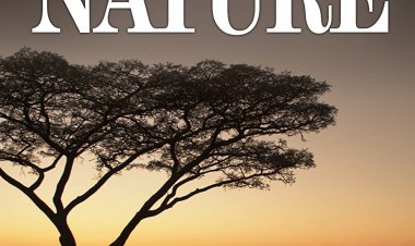 הדרכים הפרועות של הוויקינגים כתובית | Wild Way of the Vikings Subtitle