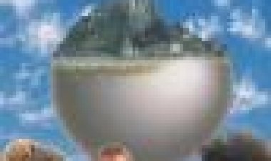 הטיילת כתובית | Mindwalk Subtitle