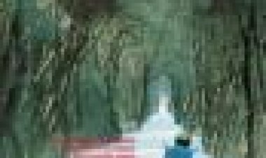 הגברים שנשארים כתובית | Men Don't Leave Subtitle