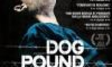מכלאת כלבים כתובית | Dog Pound Subtitle
